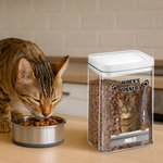 Personalised Paws Dog Cat Photo Airtight Pet Treat Jar with Name Pet Supplies Birthday Gift for Pet Owners Lovers