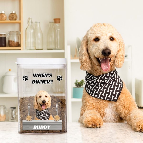 Personnalisé Paws Dog Cat Photo Airtight Pet Treat Jar with Name Pet Supplies Birthday Gift for Pet Owners Lovers (Cadeau d'anniversaire pour les propriétaires d'animaux de compagnie)