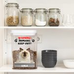 Personalised Paws Dog Cat Photo Airtight Pet Treat Jar with Name Pet Supplies Birthday Gift for Pet Owners Lovers