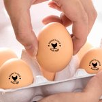 Personlig Hen Silhouette Egg Safe Egg Stamp Kartongstämpel med bläck av livsmedelskvalitet Text och låda Födelsedagspresent till familjen Farmer Breeder