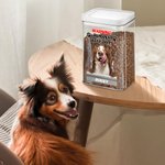 Personalised Paws Dog Cat Photo Airtight Pet Treat Jar with Name Pet Supplies Birthday Gift for Pet Owners Lovers