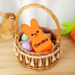Personalisierter Mehrfarbiger Osterhase mit LED-Licht und Namen Haus Korb Deko Ostern Party Geschenk für Jungen Mädchen
