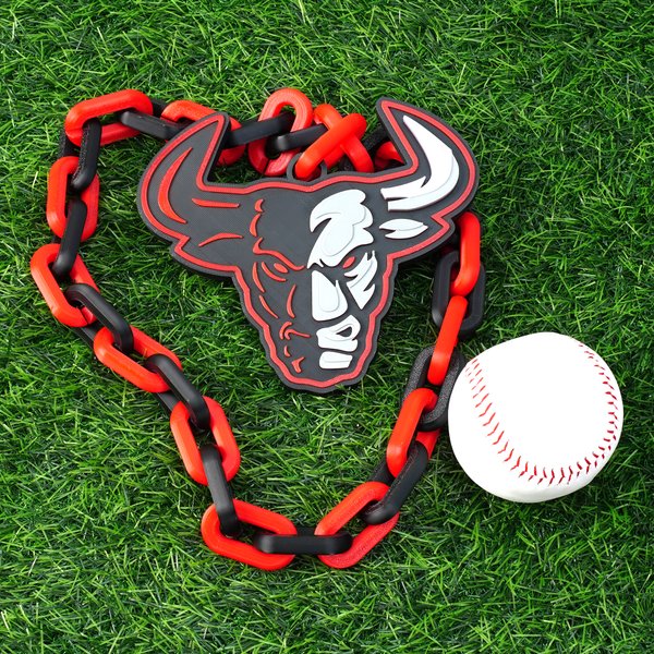 Personalized 3D Printed Sporty Team Logo Turnover Chain with Photo Birthday Game Day Gift for Team Members Sports Fans