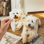 Personalized Embroidered Dog Cat Pet Photo Iron-On Patch Label Pet Party Birthday Gift for Pet Lover Owner Sewing Enthusiasts