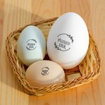 Personalisierter Eierstempel mit Hühnermotiv in Mehreren Größen Lebensmittelechte Stempelfarbe Geburtstag Geschenk für Familie Hühnerhalter Bauernhof