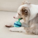 Henkilökohtainen Cactus Design Dog Interaktiivinen Treat Dispenser Toy nimi Lemmikin päivä syntymäpäivälahja lemmikkieläinten ystäville omistajille