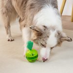 Henkilökohtainen Cactus Design Dog Interaktiivinen Treat Dispenser Toy nimi Lemmikin päivä syntymäpäivälahja lemmikkieläinten ystäville omistajille