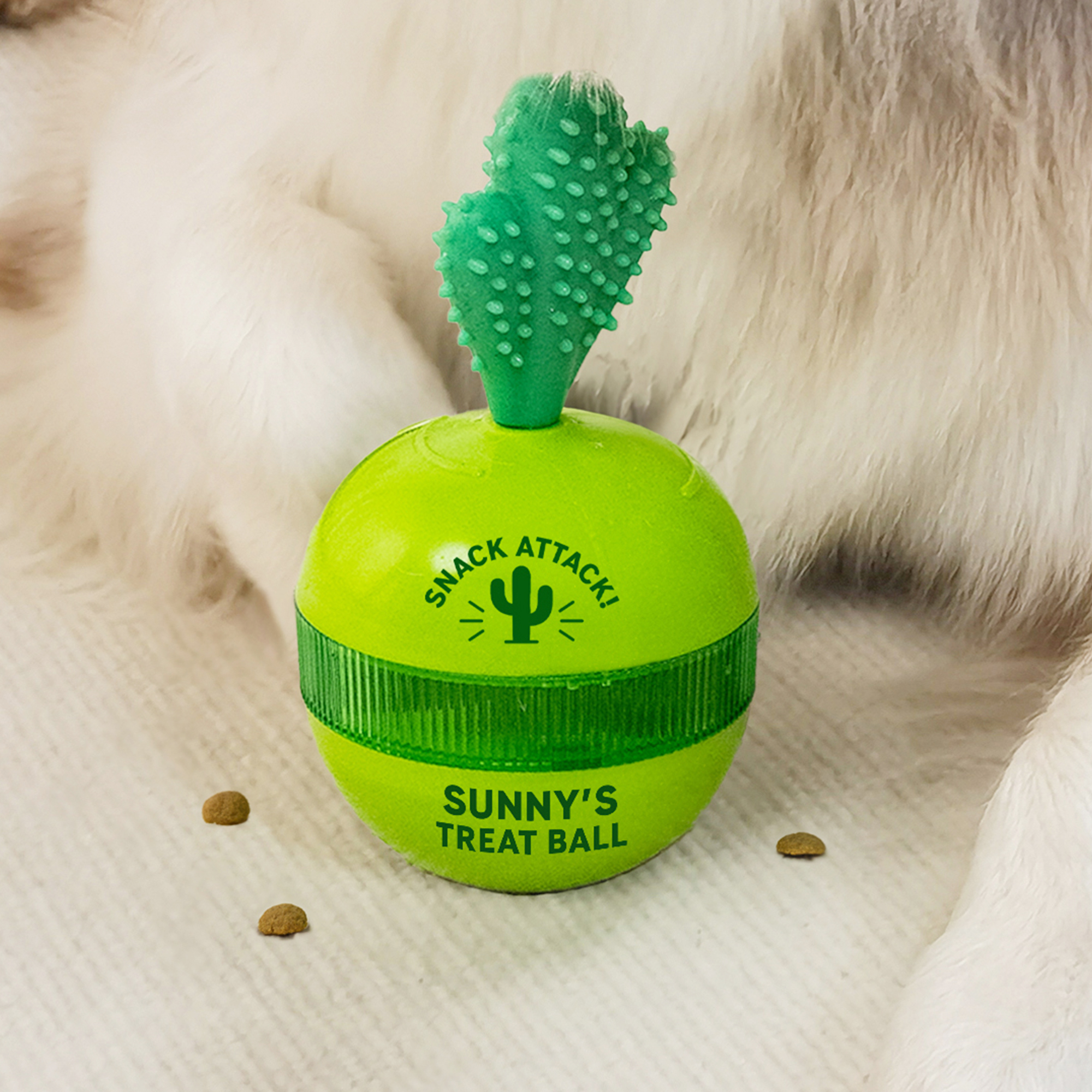 Distributeur de friandises interactif pour chien avec nom Cadeau d'anniversaire pour les propriétaires d'animaux de compagnie