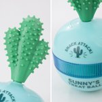 Henkilökohtainen Cactus Design Dog Interaktiivinen Treat Dispenser Toy nimi Lemmikin päivä syntymäpäivälahja lemmikkieläinten ystäville omistajille