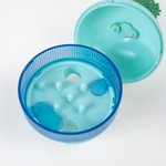 Henkilökohtainen Cactus Design Dog Interaktiivinen Treat Dispenser Toy nimi Lemmikin päivä syntymäpäivälahja lemmikkieläinten ystäville omistajille