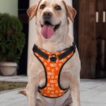 Gilet riflettente regolabile personalizzato Multicolore Cute Paw Dog con nome Regalo di compleanno per gli amanti degli animali domestici