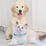 Personalized Line Style Dog Cat Design Pet Collar with Air Tag Holder and Name Outdoor Accessories Pet Party Birthday Gift for Pet Owners