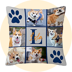 For Pet Lovers
