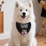 Personalized No Tricks Just Treats Devil Wings Cat Dog Soft Pet Bandana Spooky Season Halloween Gift for Pet Lovers Pet Parents