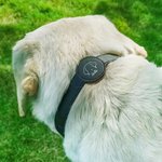 Personalized Line Style Dog Cat Design Pet Collar with Air Tag Holder and Name Outdoor Accessories Pet Party Birthday Gift for Pet Owners