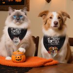 Personalized No Tricks Just Treats Devil Wings Cat Dog Soft Pet Bandana Spooky Season Halloween Gift for Pet Lovers Pet Parents