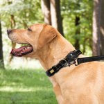 Personalized Paw Print Design Pet Locator Collar with Air Tag Holder and Name Outdoor Accessories Pet Party Birthday Gift for Pet Owners