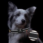 Personalized Paw Print Design Pet Locator Collar with Air Tag Holder and Name Outdoor Accessories Pet Party Birthday Gift for Pet Owners