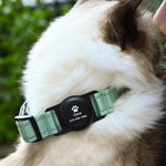 Personalized Paw Print Design Pet Locator Collar with Air Tag Holder and Name Outdoor Accessories Pet Party Birthday Gift for Pet Owners