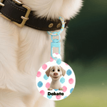 Personalisierte niedlichen Cartoon Pet Acryl Haustier Tag mit Namen täglichen Gebrauch Geburtstag Geschenk für Tierbesitzer