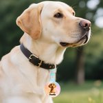 Personalisierte niedlichen Cartoon Pet Acryl Haustier Tag mit Namen täglichen Gebrauch Geburtstag Geschenk für Tierbesitzer