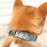 Personalised Mosaic Print Pet Collar with Name and Number Pet Party Birthday Gift for Pet Lovers Owner