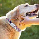 Personalised Mosaic Print Pet Collar with Name and Number Pet Party Birthday Gift for Pet Lovers Owner