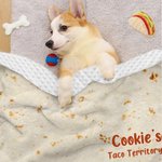 Henkilökohtainen hauska Tortilla pehmeä lemmikkieläinten heittopeitto, jossa on nimi ja teksti Home Decor syntymäpäivä joululahja kissan koiran lemmikkieläinten ystäville