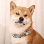 Personalised Mosaic Print Pet Collar with Name and Number Pet Party Birthday Gift for Pet Lovers Owner