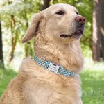 Personalised Mosaic Print Pet Collar with Name and Number Pet Party Birthday Gift for Pet Lovers Owner