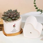 Personalized Birth Flower Heart-Shaped Name Ceramic Plant Pot with Date and Drainage Bamboo Base Home Decor Birthday Gift for Gardening Lovers