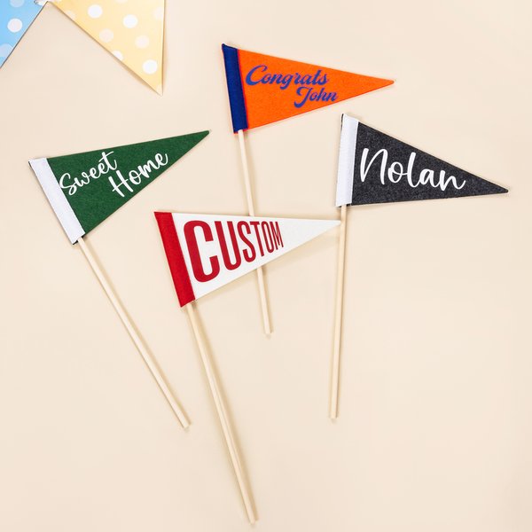 Personalized Multicoloured Mini Pennant with Text and Stick Back to School Graduation Party Game Day Gift for Students Sports Fans