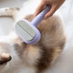 Quitapelos Personalizado 2 en 1 para Gato Perro con Nombre Uso Diario Regalo de Aniversario Cumpleaños para Dueños de Mascotas