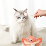 Henkilökohtainen söpö muotoilu 2-in-1 interaktiivinen Tumbler kissa lelu nimellä ja 2 palloa Lemmikkieläinten päivä syntymäpäivälahja kissan ystäville omistajille