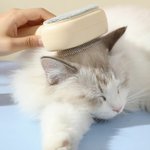 Quitapelos Personalizado 2 en 1 para Gato Perro con Nombre Uso Diario Regalo de Aniversario Cumpleaños para Dueños de Mascotas