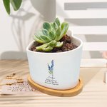Personalized Birth Flower Heart-Shaped Name Ceramic Plant Pot with Date and Drainage Bamboo Base Home Decor Birthday Gift for Gardening Lovers