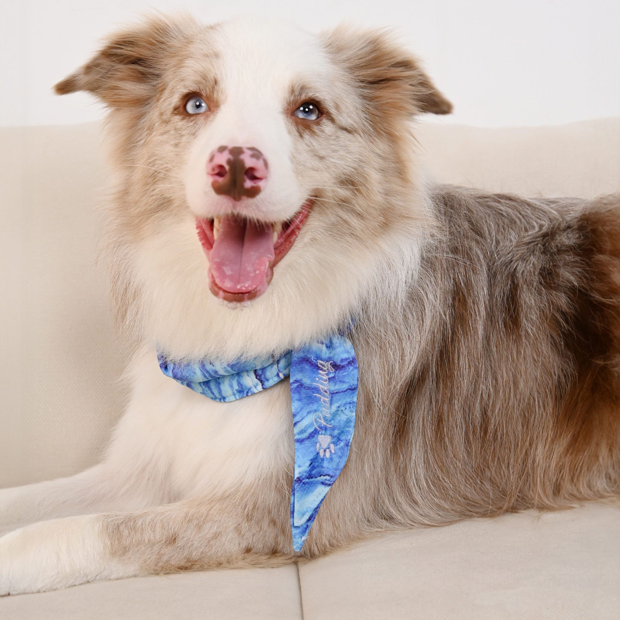 Echarpe de refroidissement personnalisée Love Bone Paw Print avec nom brodé Fournitures pour animaux de compagnie Cadeau de pendaison de crémaillère pour les propriétaires d'animaux de compagnie