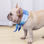 Personalisierte Liebe Knochen Pfote drucken Haustier Kühlung Schal mit gestickten Namen Haustier liefert Geburtstag Housewarming Geschenk für Tierbesitzer