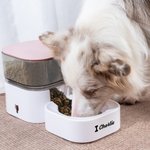 Personalised Red Heart Bone Paw Print Automatic Gravity Pet Feeder with Name Pet Supplies Birthday Adoption Anniversary Gift for Pet Lovers Owners