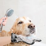 Personalized Bone Paw Print Heart Pet washing Brush Gloves with Name Pet Supply Housewarming Birthday Anniversary Gift for Pet Owners