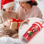 Gepersonaliseerd Kerstelement 20 oz Plastic Waterfles met Rietje en Naam Kerstcadeau voor Kinderen