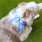 Personalisierte Liebe Knochen Pfote drucken Haustier Kühlung Schal mit gestickten Namen Haustier liefert Geburtstag Housewarming Geschenk für Tierbesitzer