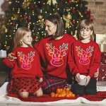 Personalized Cute Elk T-shirt Sweatshirt Hoodie with Name Christmas Gift for Family Friend