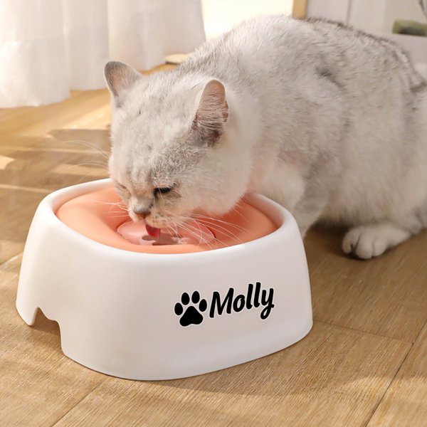 Ciotola per l'acqua personalizzata con nome Bone Paw Heart, disco galleggiante a prova di fuoriuscita, regalo di compleanno per gli amanti degli animali.