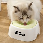 Personalised Bone Paw Heart Floating Disk Spill Proof Water Bowl with Name Daily Supplies Birthday Gift for Pet Lovers