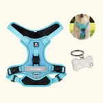 Personalized Bone Design Signage Multicolor Pet Chest Harness with Name and Number Outdoor Activities Birthday Gift for Pet Lovers Owners
