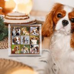 Personalized Pet Paw 6-8 Photos Acrylic Plaque with Name and Initial Home Decor Anniversary Pet Birthday Gift for Cat Dog Owners
