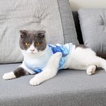 Personalized Red Heart Bone Paw Print Dog Cat Pet Cooling Suit with Name Outdoor Activities Pet Party Birthday Gift for Pet Owners