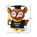 Personalisiertes Abschlusskappe Bachelor-Kleid Eule Plüschtier mit Text Jahr Souvenir Graduierungszeremonie Geschenk für Absolventen Klassenkameraden