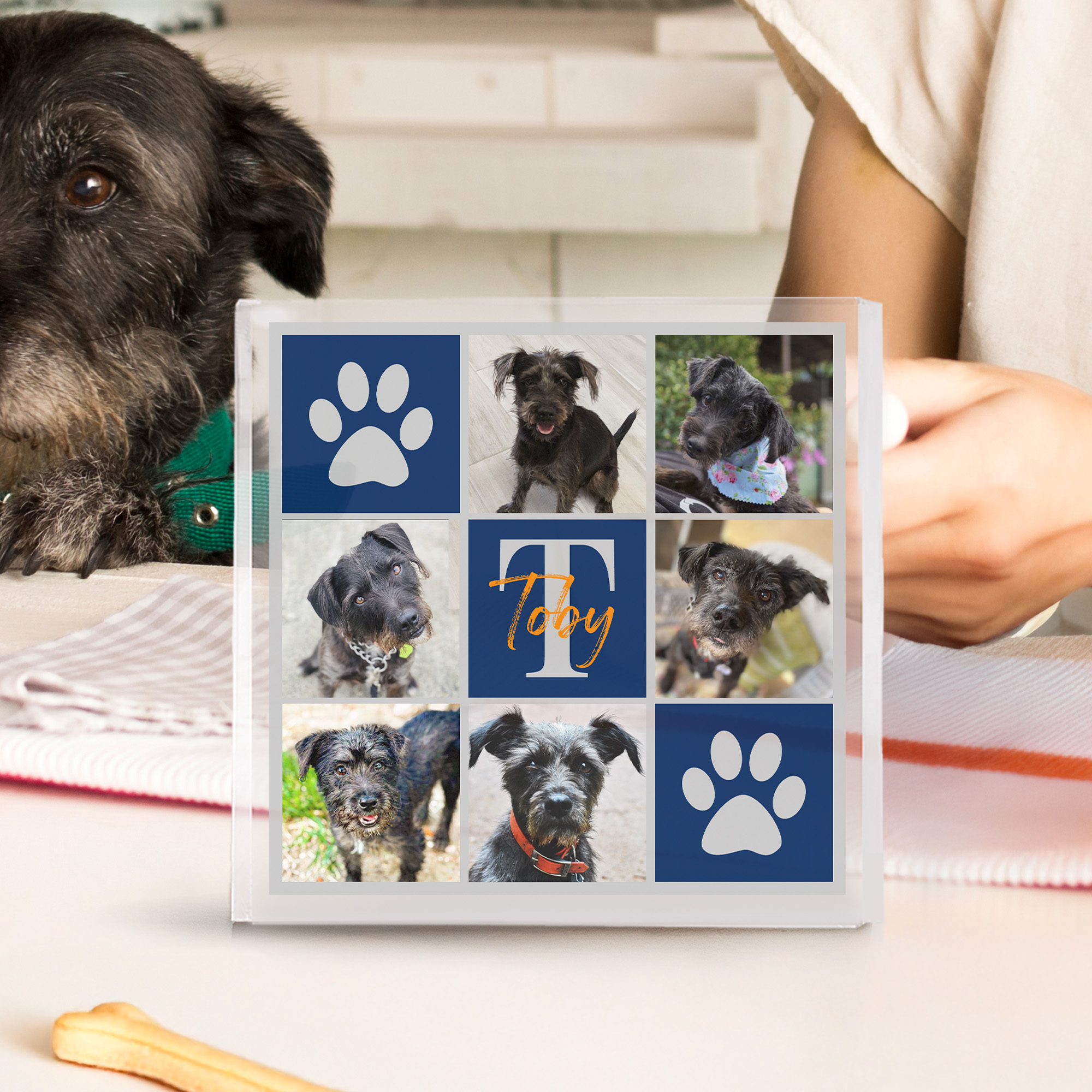 Plaque Acrylique Personnalisée avec Nom et Initiale Décoration Maison Anniversaire Cadeau d'Anniversaire pour Chat Chien Propriétaires